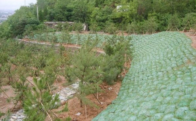 �c���鿴Ԕ����Ϣ���}�����B��ʩ�� ��x�Δ���1995