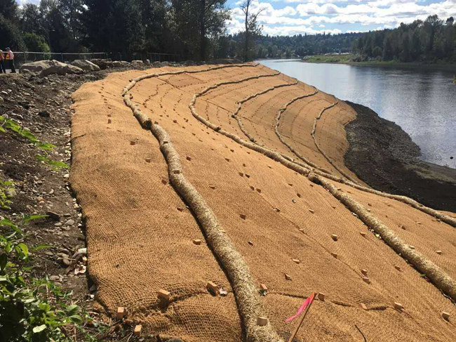 �c���鿴Ԕ����Ϣ���}��ֲ��̺ʩ�� ��x�Δ���2007